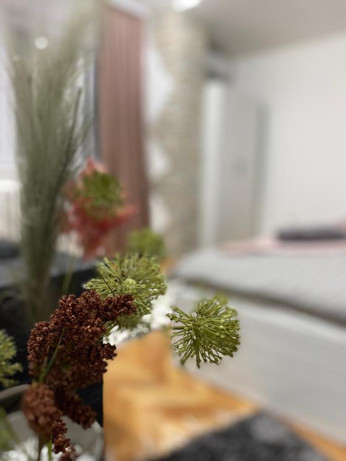 Apartman Bonaca Ниш Екстер'єр фото