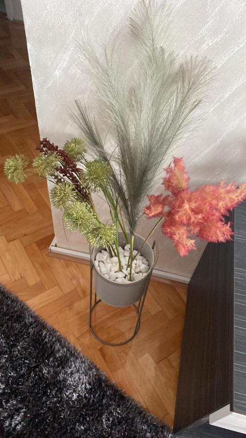 Apartman Bonaca Ниш Екстер'єр фото